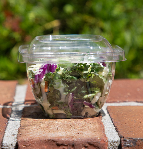 example 16 oz Clear Plastic Tamper-Evident Container with salad
